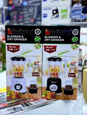 Hoffmans Model HM-177 2-in-1 Blender & Dry Grinder