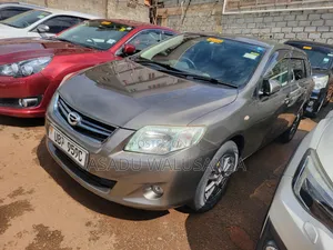 Toyota Corolla Fielder 2010 Gray