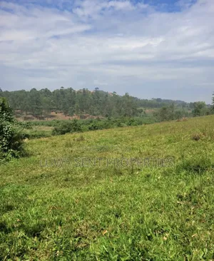6 Square Mile Nakasongola