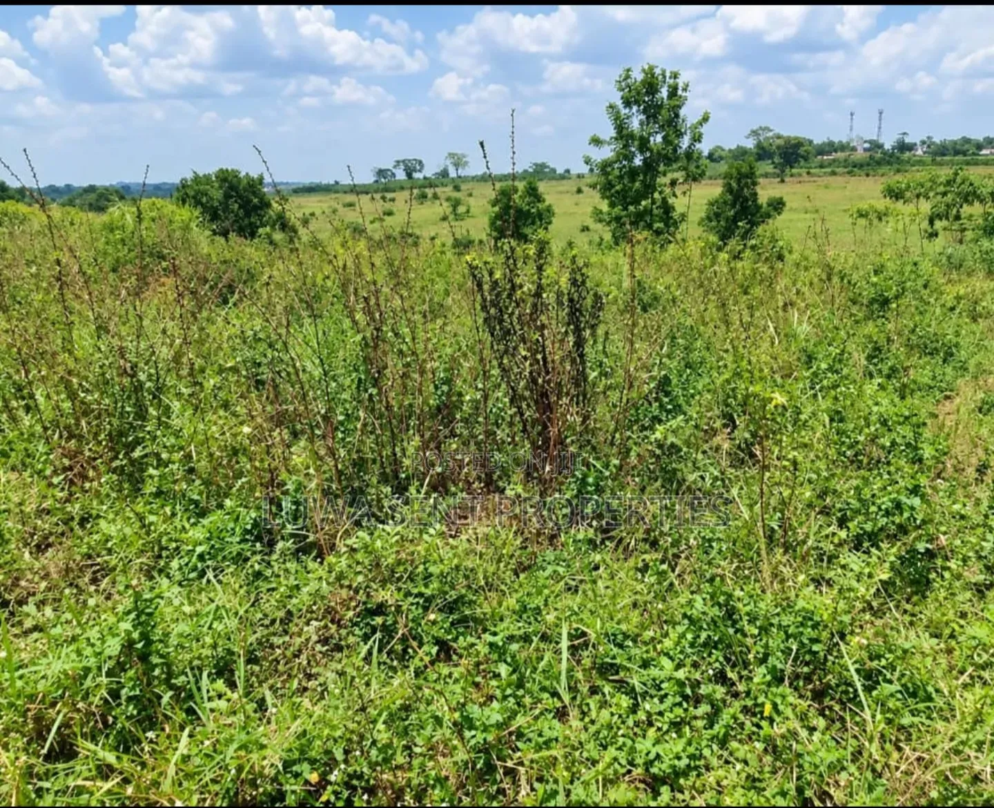 7Sq Miles Mailo Land for Sale NAKASONGOLA PRIVATE MAILO TITLE