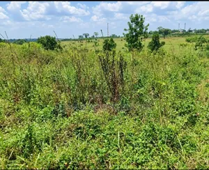 7Sq Miles Mailo Land for Sale NAKASONGOLA PRIVATE MAILO TITLE