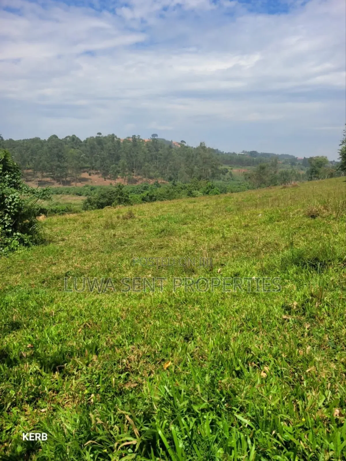 7Sq Miles Mailo Land for Sale NAKASONGOLA PRIVATE MAILO TITLE