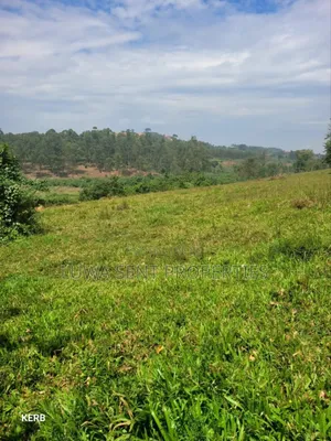 7Sq Miles Mailo Land for Sale NAKASONGOLA PRIVATE MAILO TITLE