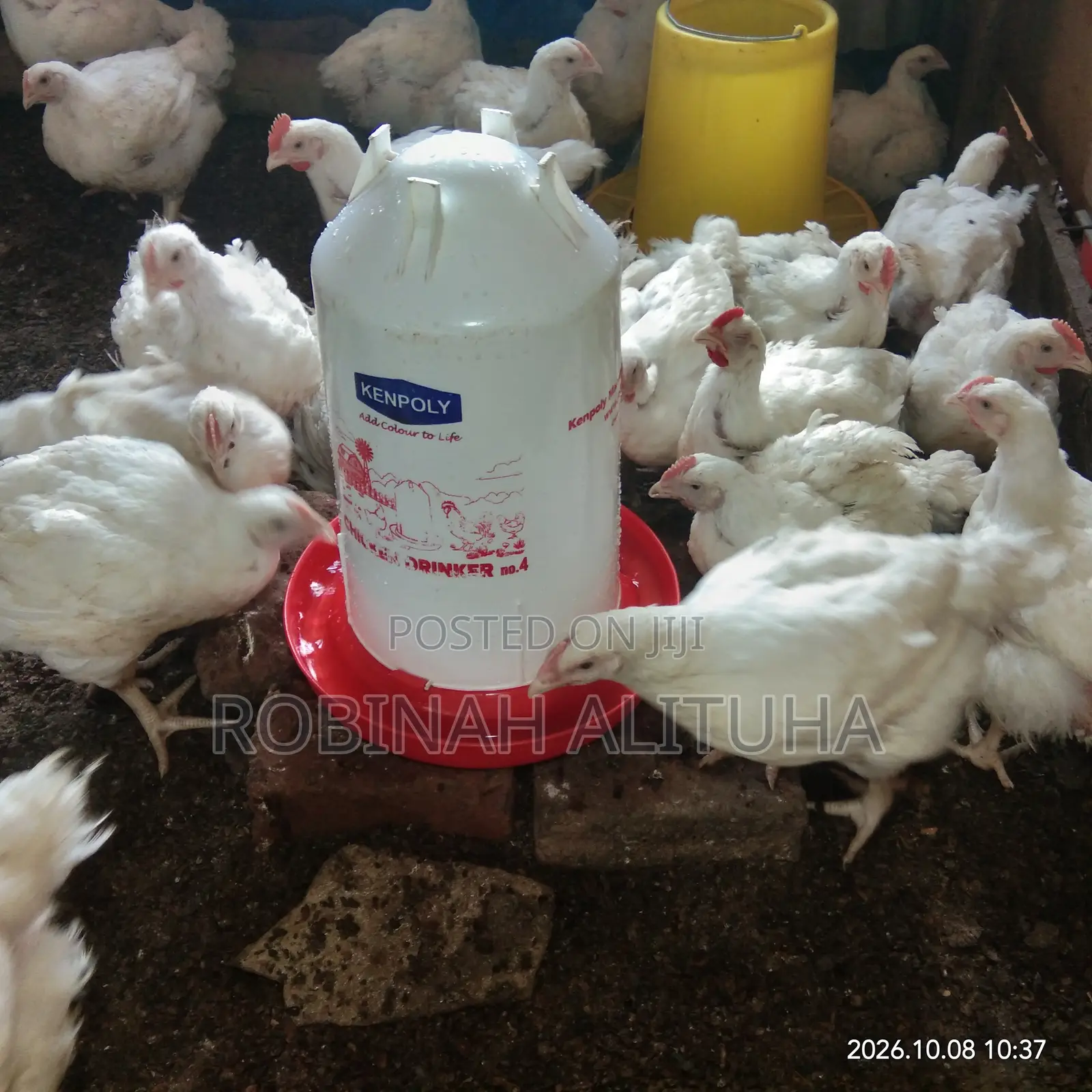 Gero Poultry Farm