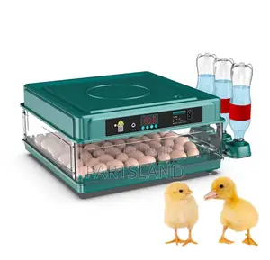 30 Automatic Eggs Incubator