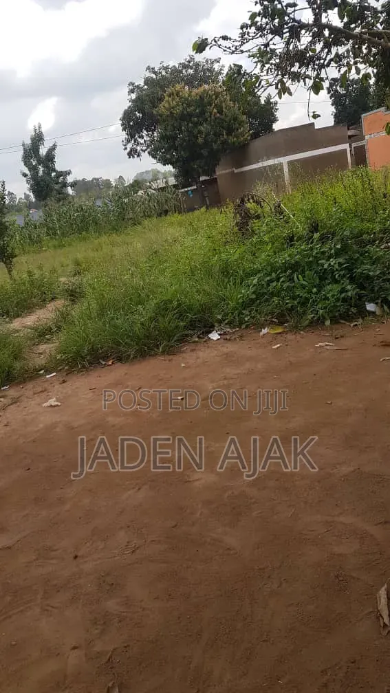 Land for Sale at Arua on the Road Side of Jako