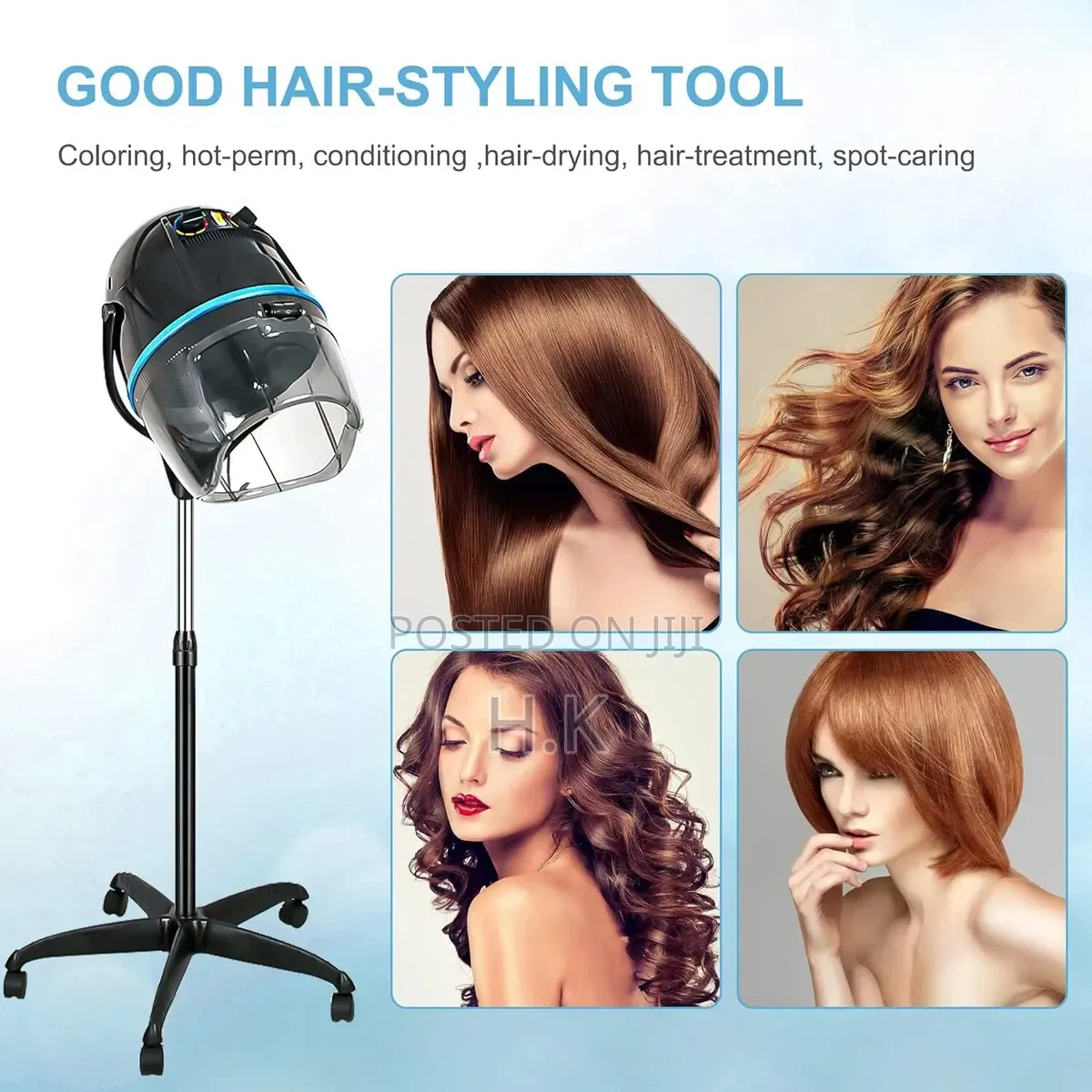 Professional Hooded Hair Dryer