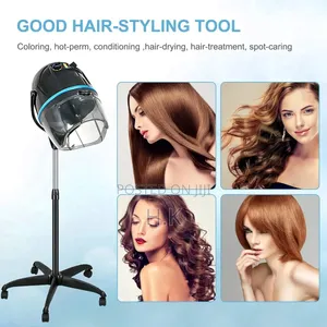 Professional Hooded Hair Dryer