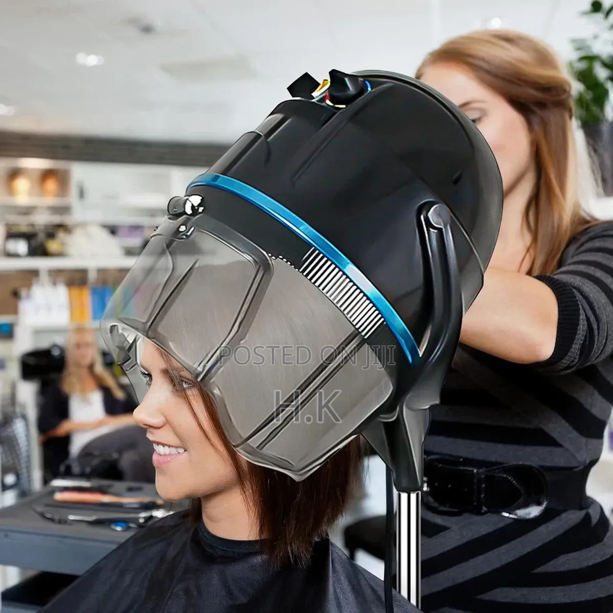 Professional Hooded Hair Dryer