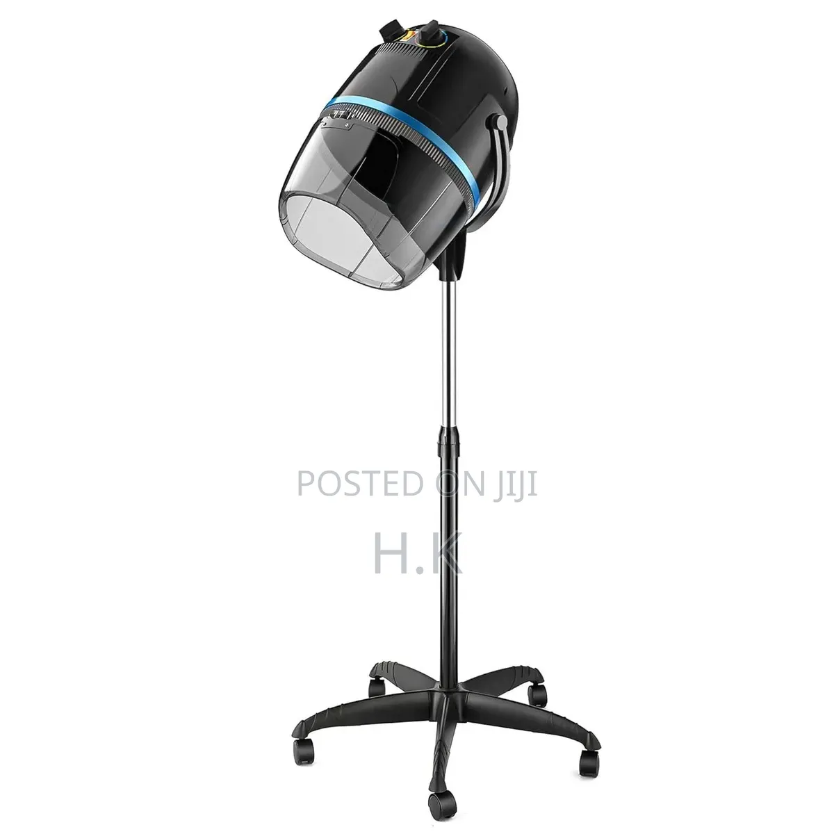 Professional Hooded Hair Dryer