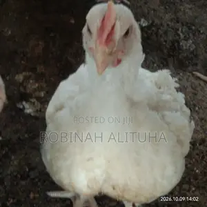 Gero Poultry Farm