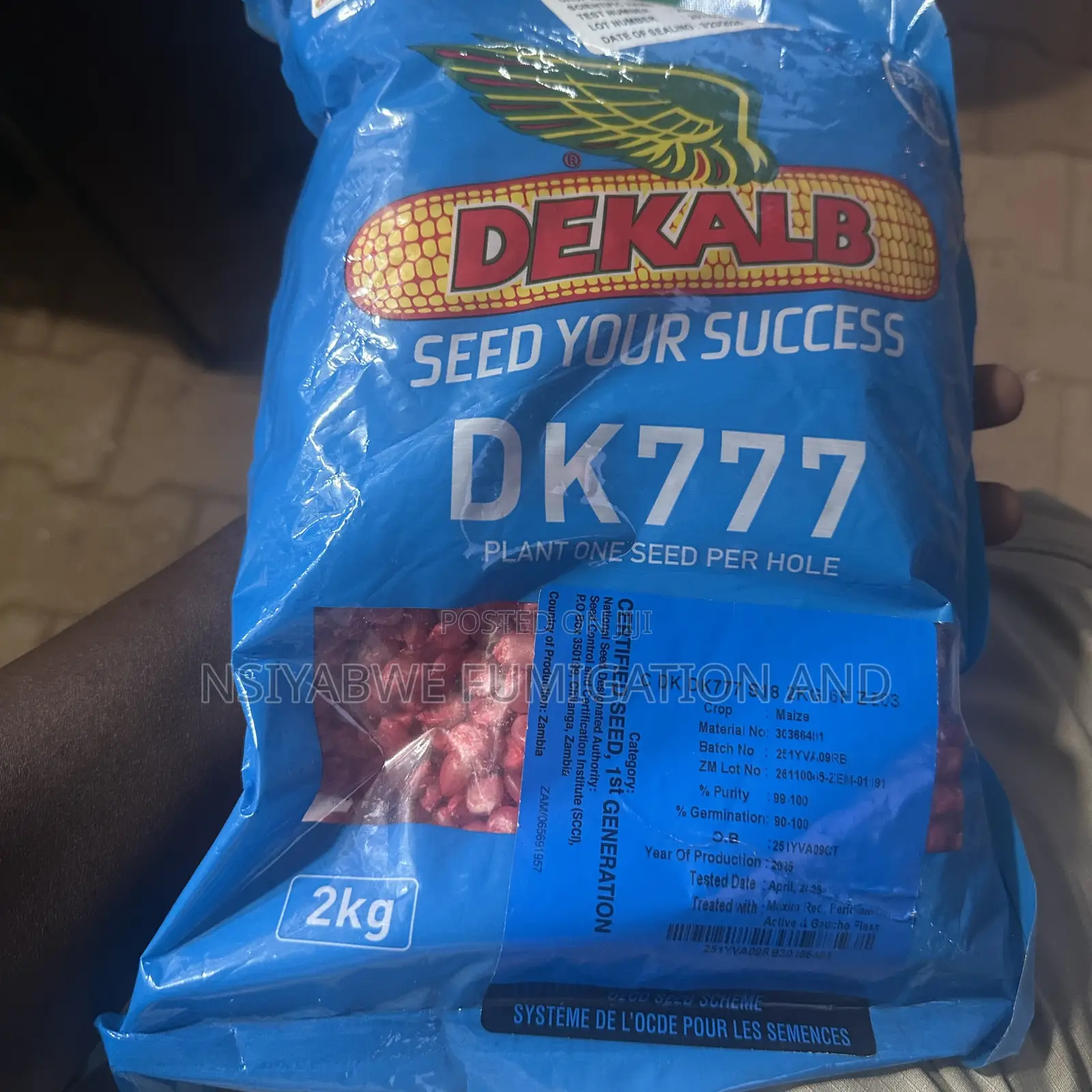 Dk Maize Seeds —