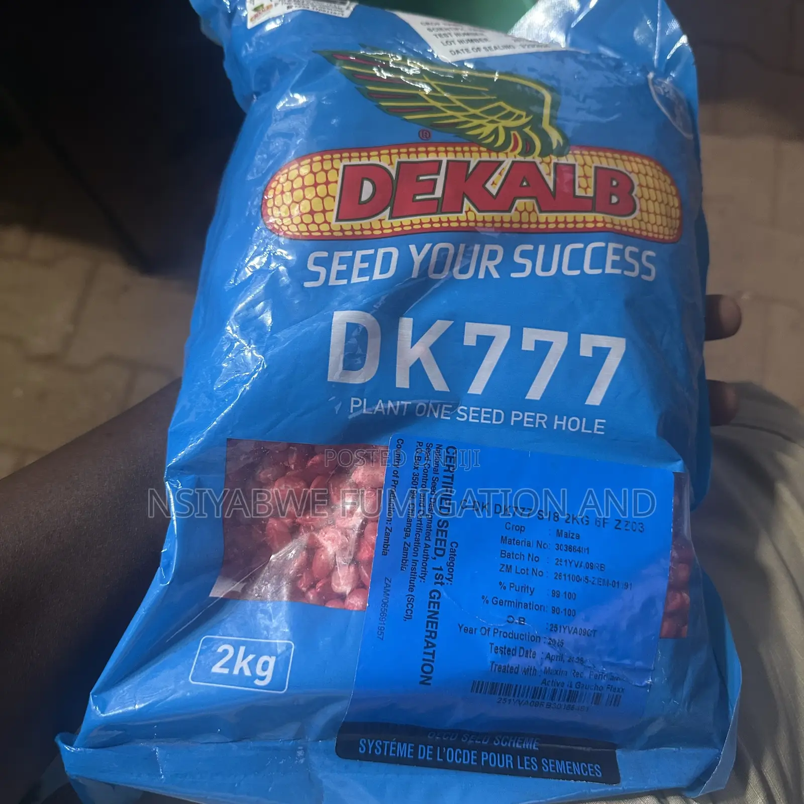 Dk Maize Seeds —