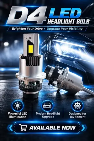 D4/D2 Headlamp Bulbs