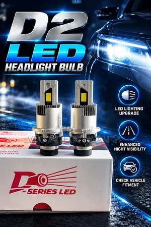 D2 Headlight Bulbs