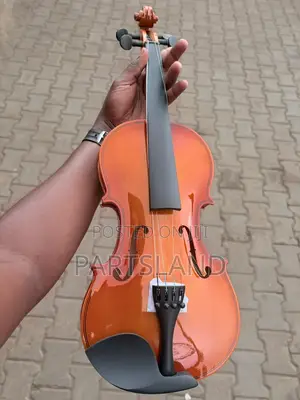 Acoustic Violins 1/2, 3/4, 4/4