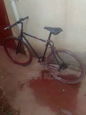 Sport Bicycle