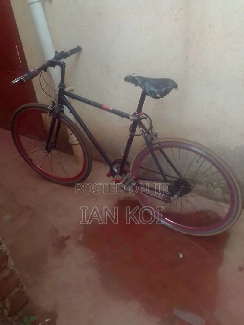 Sport Bicycle