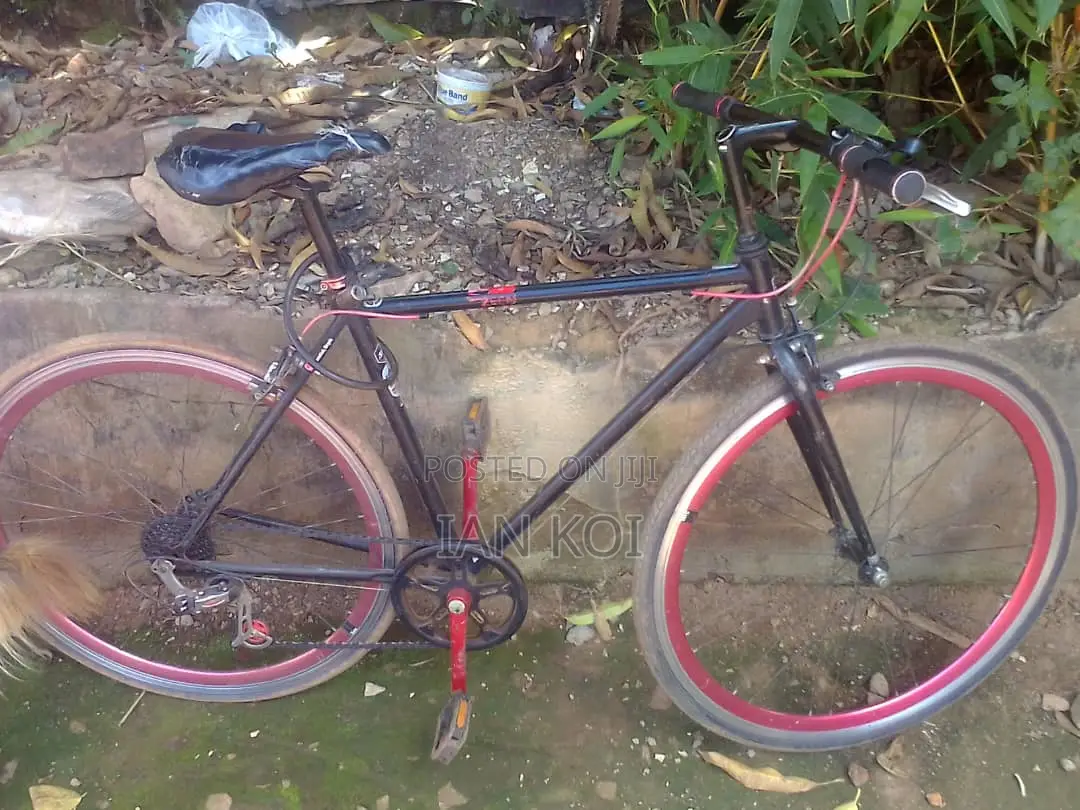 Sport Bicycle