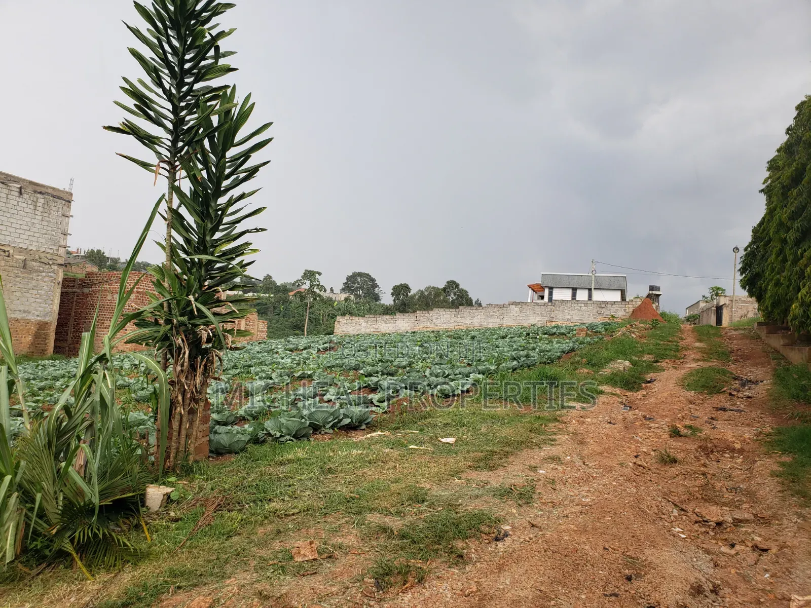 3 Plot of 50ft by 100ft at 160m Namugongo Sonde
