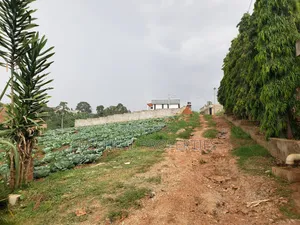 3 Plot of 50ft by 100ft at 160m Namugongo Sonde