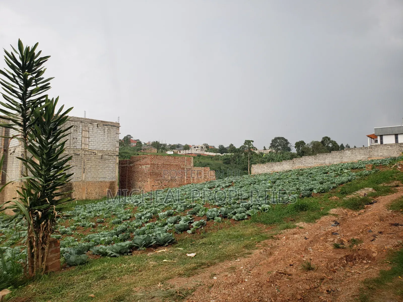 3 Plot of 50ft by 100ft at 160m Namugongo Sonde