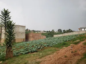 3 Plot of 50ft by 100ft at 160m Namugongo Sonde