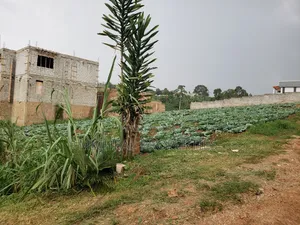 3 Plot of 50ft by 100ft at 160m Namugongo Sonde