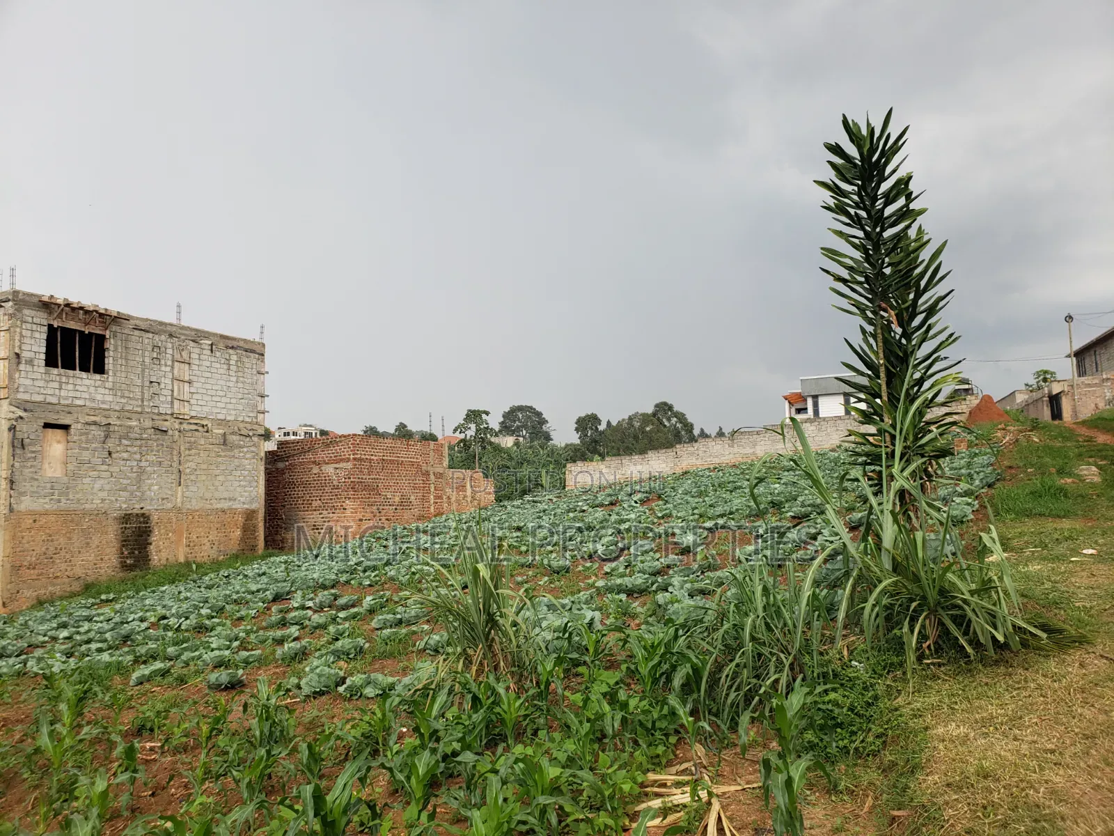3 Plot of 50ft by 100ft at 160m Namugongo Sonde