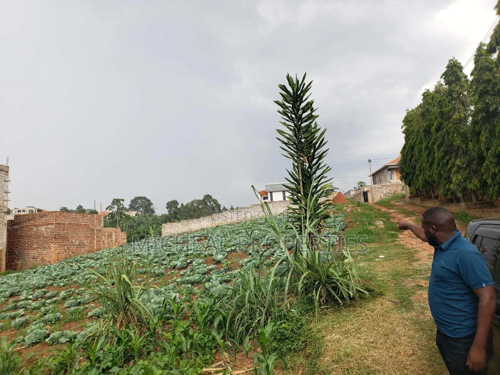 3 Plot of 50ft by 100ft at 160m Namugongo Sonde