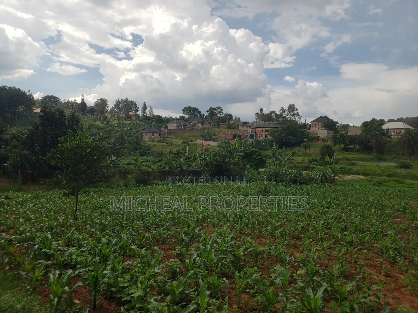 3 Plot of 50ft by 100ft at 160m Namugongo Sonde