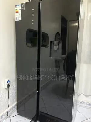 Black Mirror Hisense Fridge