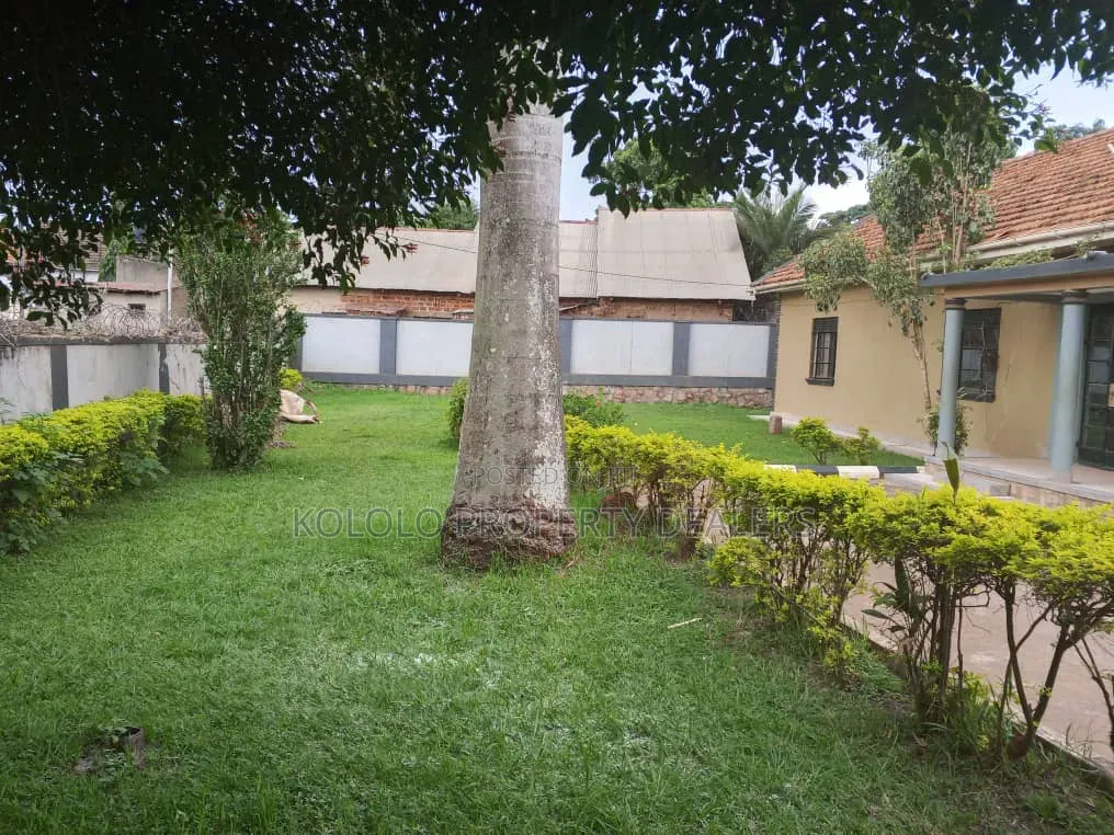 3bdrm Bungalow in Muyenga, Central Division for rent