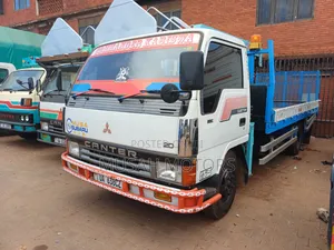 Canter Crane Truck