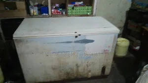 Large Commercial Chest Freezer for Sale