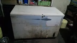 Large Commercial Chest Freezer for Sale