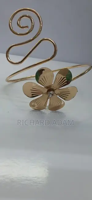Elegant Earrings