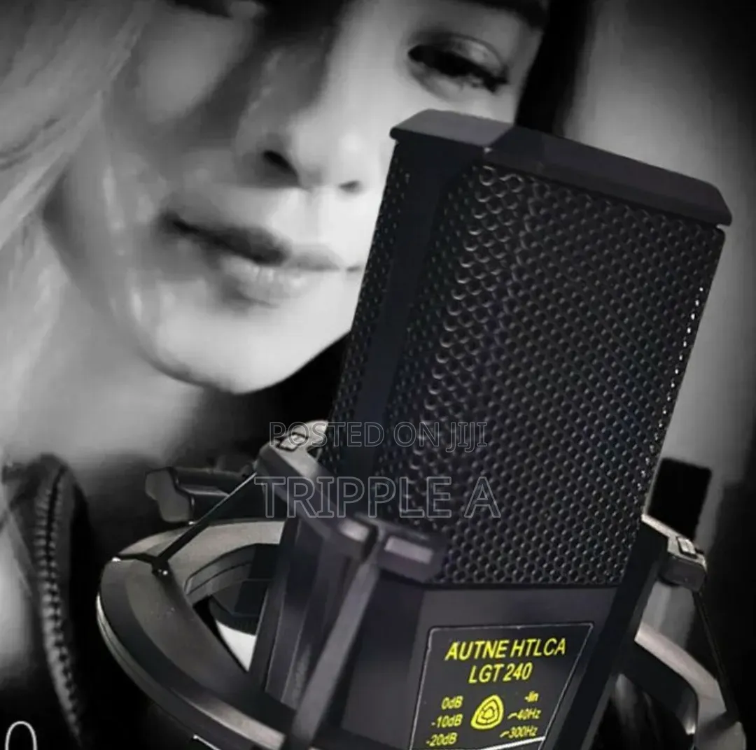 Condenser Microphone Pro Audio Microphone