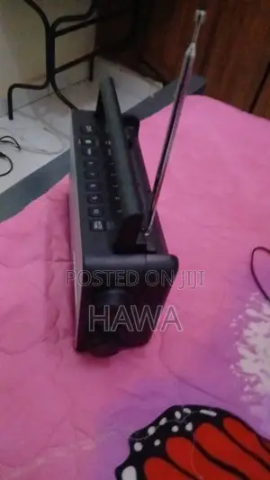 Panasonic RF-D10EG-K Portable