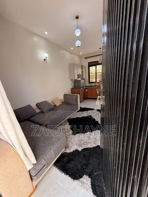 Sofa in Sofa Bed Shape