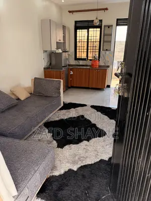Sofa in Sofa Bed Shape