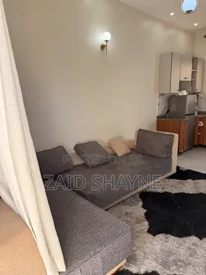 Sofa in Sofa Bed Shape