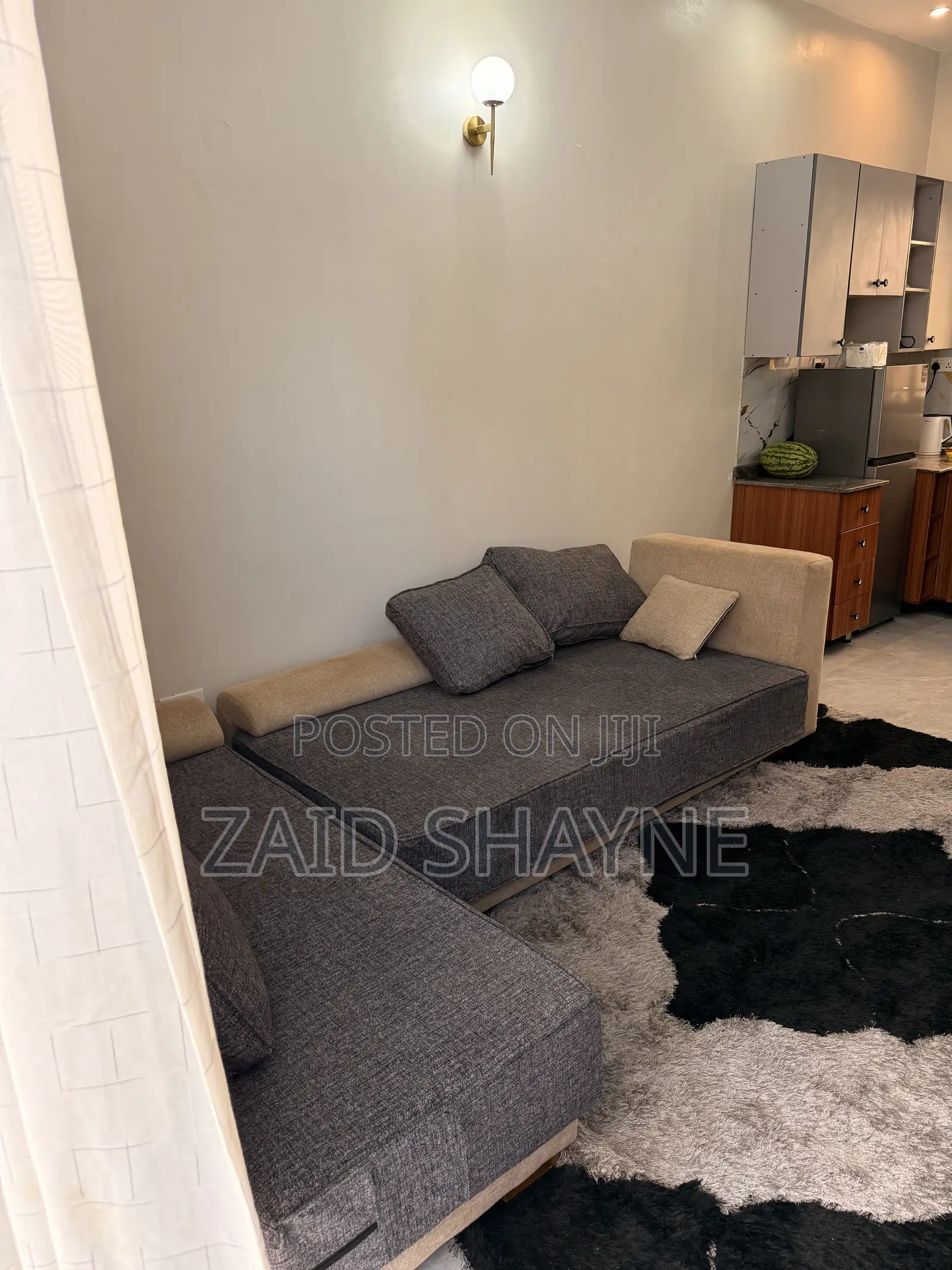 Sofa in Sofa Bed Shape