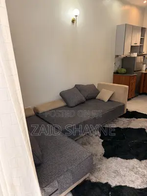 Sofa in Sofa Bed Shape