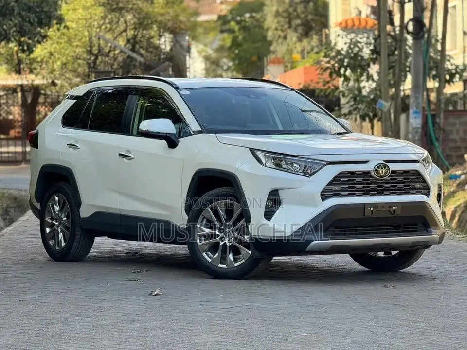 Toyota RAV4 Adventure 2019 White