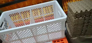 Eggs Transporting Baskets