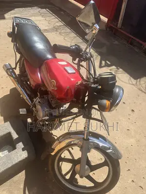 Bajaj Boxer 100 2019 Red