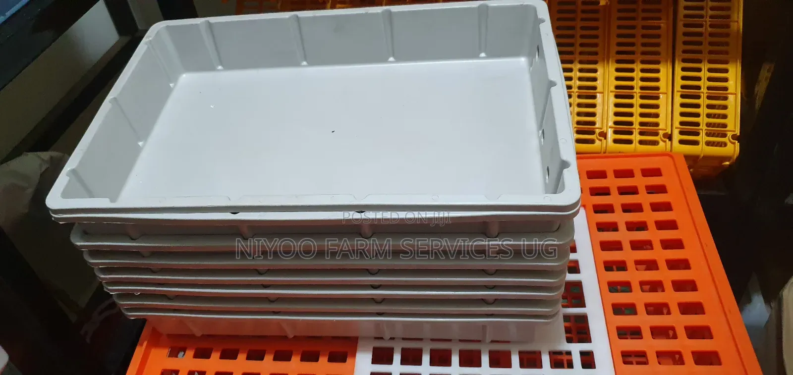 Plastic Incubator Water