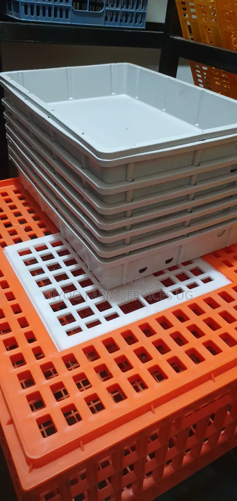 Plastic Incubator Water