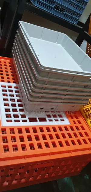 Plastic Incubator Water
